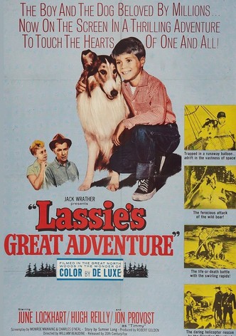 Lassie, la grande aventure-poster-1963-1768555628