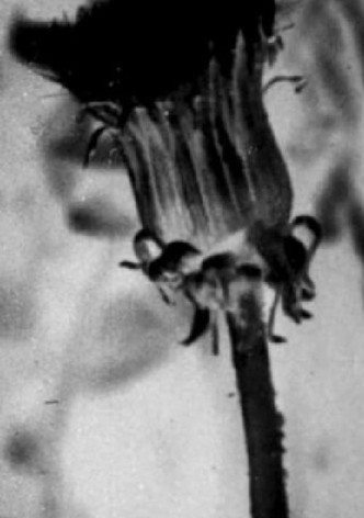 Le Huitième jour-poster-1967-1768557539