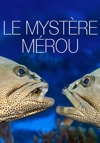 Le Mystère Mérou-poster-2015-1768823231