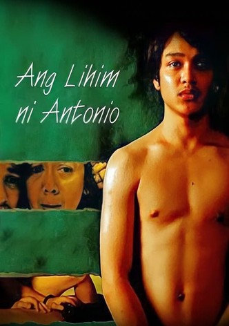 Le Secret d&rsquo;Antonio-poster-2008-1768730347