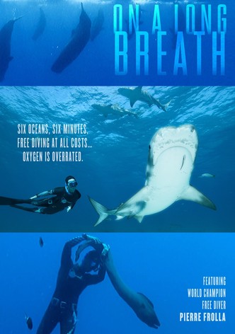 Le Temps D&rsquo;une Apnée-poster-2016-1768834988