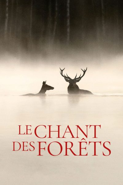 Le chant des forêts-poster-2025-1767950010