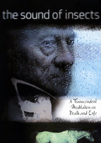 Le chant des insectes – Rapport d&rsquo;une momie-poster-2009-1768733355