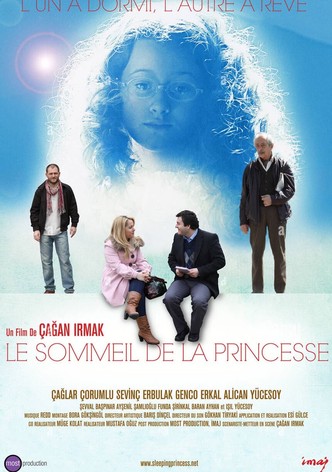 Le sommeil de la princesse-poster-2010-1768743708