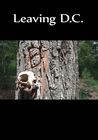 Leaving D.C.-poster-2013-1768813923