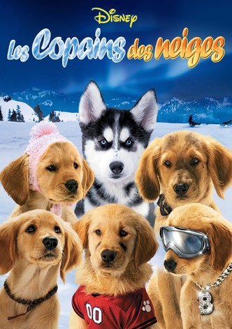 Les Copains des neiges-poster-2008-1768731125