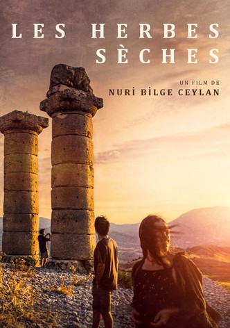 Les Herbes sèches-poster-2023-1769208912