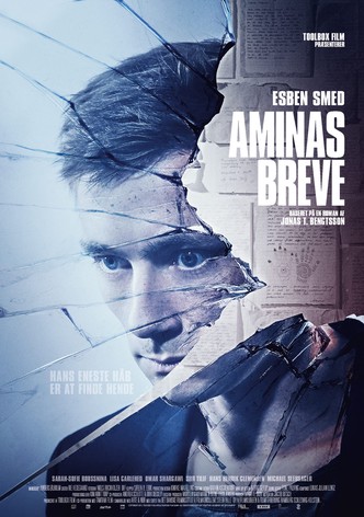 Les Lettres d&rsquo;Amina-poster-2017-1768848801