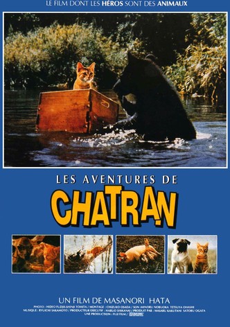 Les aventures de Chatran-poster-1986-1768651363