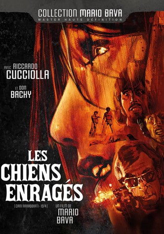 Les chiens enragés-poster-1974-1768606501