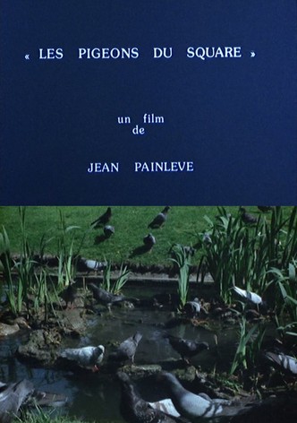 Les pigeons du square-poster-1982-1768165555