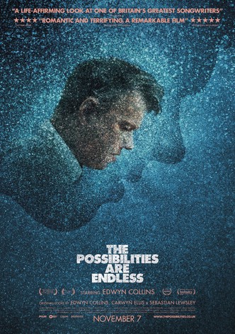 Les possibilités sont infinies-poster-2014-1768818810