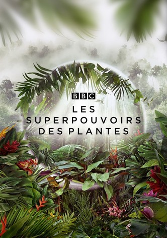 Les superpouvoirs des plantes-poster-2022-1768462241