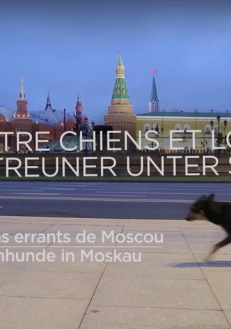 L&rsquo;évolution en marche-poster-2014-1768383473