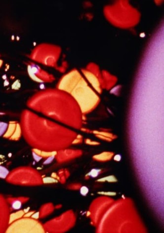 Lights-poster-1966-1768557512