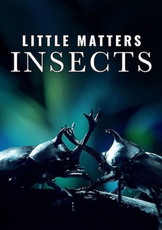 Little Matters: Insects-poster-2015-1767876284