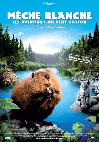 Mèche Blanche, les aventures du petit castor-poster-2008-1767321300