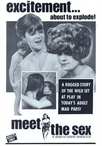 Meet the Sex-poster-1969-1767881675