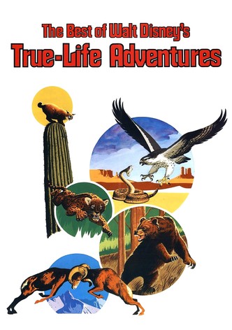 Merveilles de la nature-poster-1975-1768606541