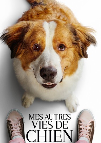 Mes Autres Vies de Chien-poster-2019-1768932254