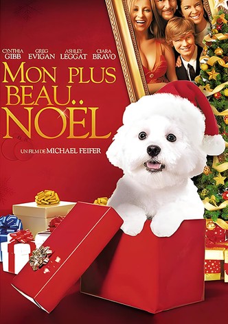 Mon plus beau Noël-poster-2011-1768751102