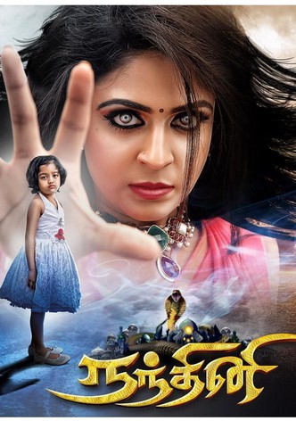 Nandhini-poster-2017-1768410862