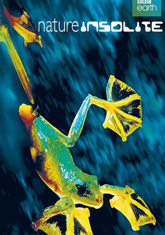 Nature insolite-poster-2002-1768380241