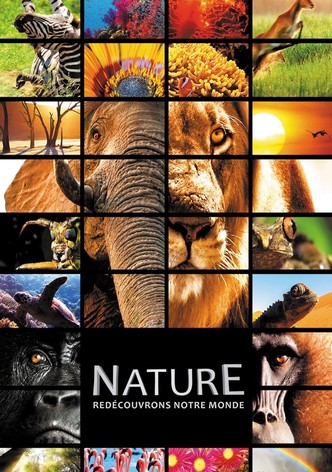 Nature-poster-2014-1768819164
