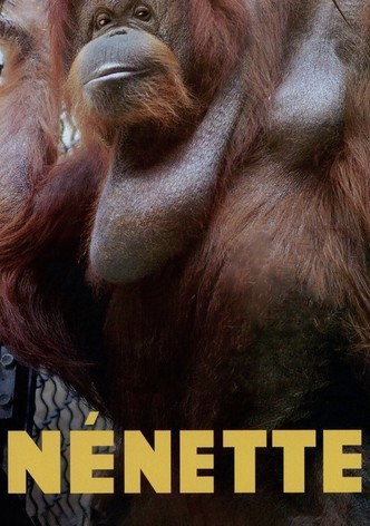 Nénette-poster-2010-1768744934