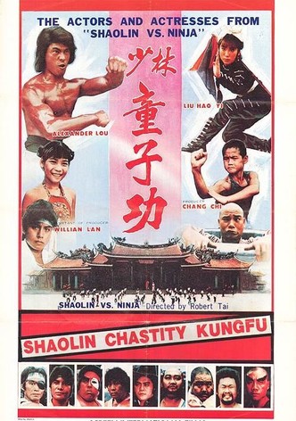 Ninja et les disciples du temple de shaolin-poster-1981-1768612529