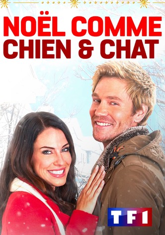Noël comme chien et chat-poster-2020-1769317136
