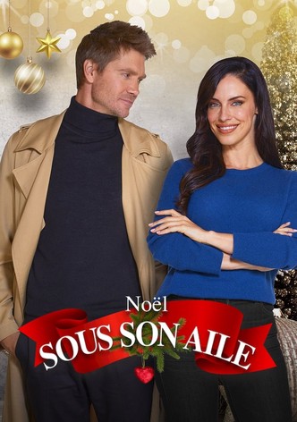 Noël sous son aile-poster-2021-1768458794