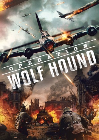 Opération Wolf Hound-poster-2022-1767811975