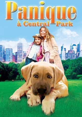 Panique à Central Park-poster-2004-1768691346