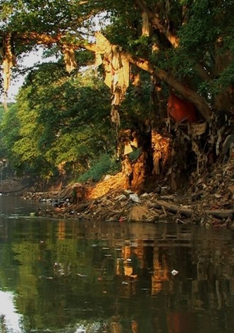 Paradise Later-poster-2010-1768745026