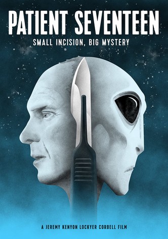 Patient Seventeen-poster-2017-1768849535