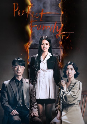 Perfect Family-poster-2024-1768496215