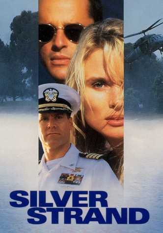 Permission d&rsquo;aimer-poster-1995-1768655276