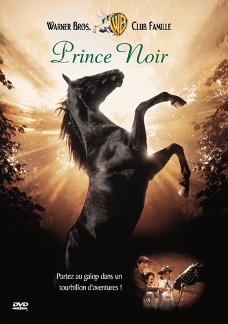 Prince noir-poster-1994-1768654485