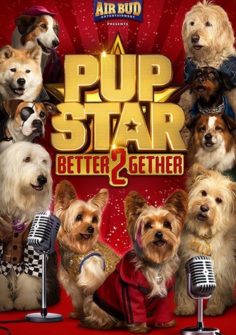 Pup Star : À 2 c&rsquo;est mieux-poster-2017-1768850584