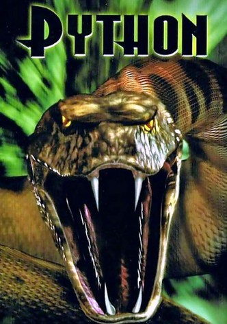 Python-poster-2000-1767794639
