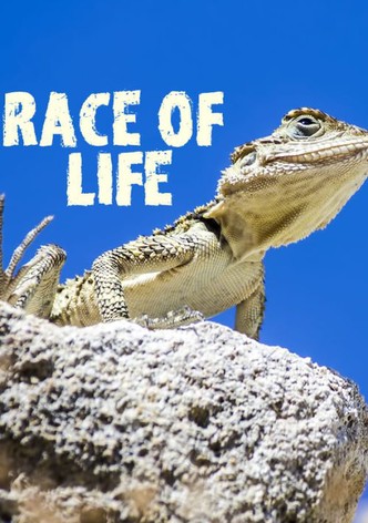 Race of life-poster-2016-1768398340