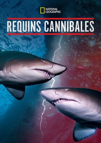Requins Cannibales-poster-2019-1769317254
