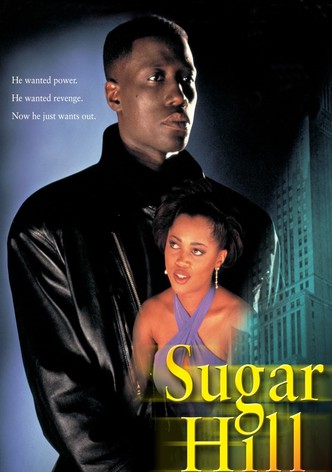 Revocator-poster-1994-1768654482