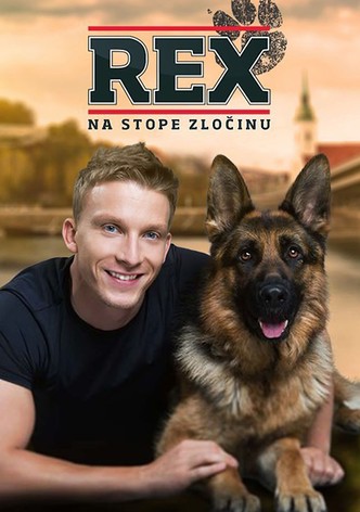 Rex-poster-2017-1768411095