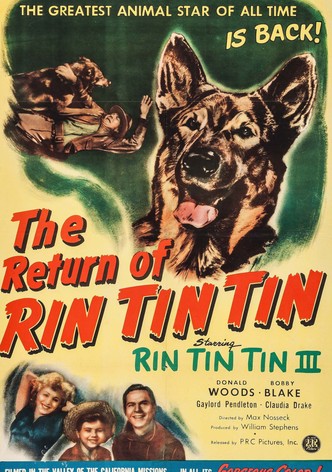 Rin Tin Tin chien-loup-poster-1947-1768552247
