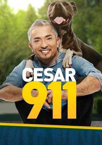 SOS César-poster-2014-1768383148