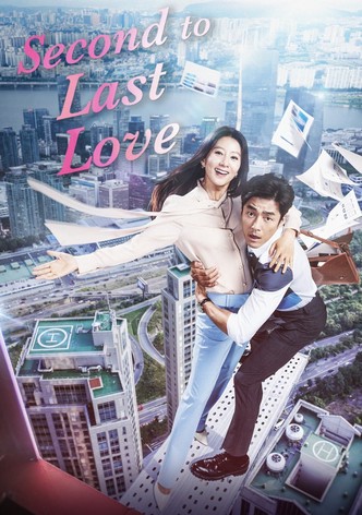 Second to Last Love-poster-2016-1768398666