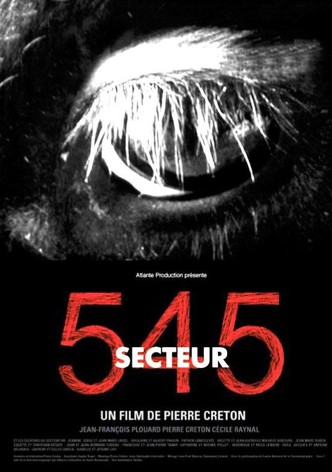 Secteur 545-poster-2004-1768692031