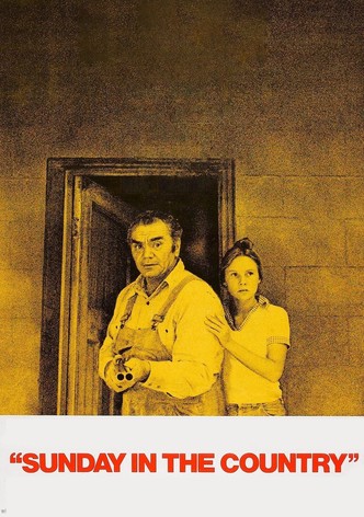 Self Defense-poster-1974-1768606597